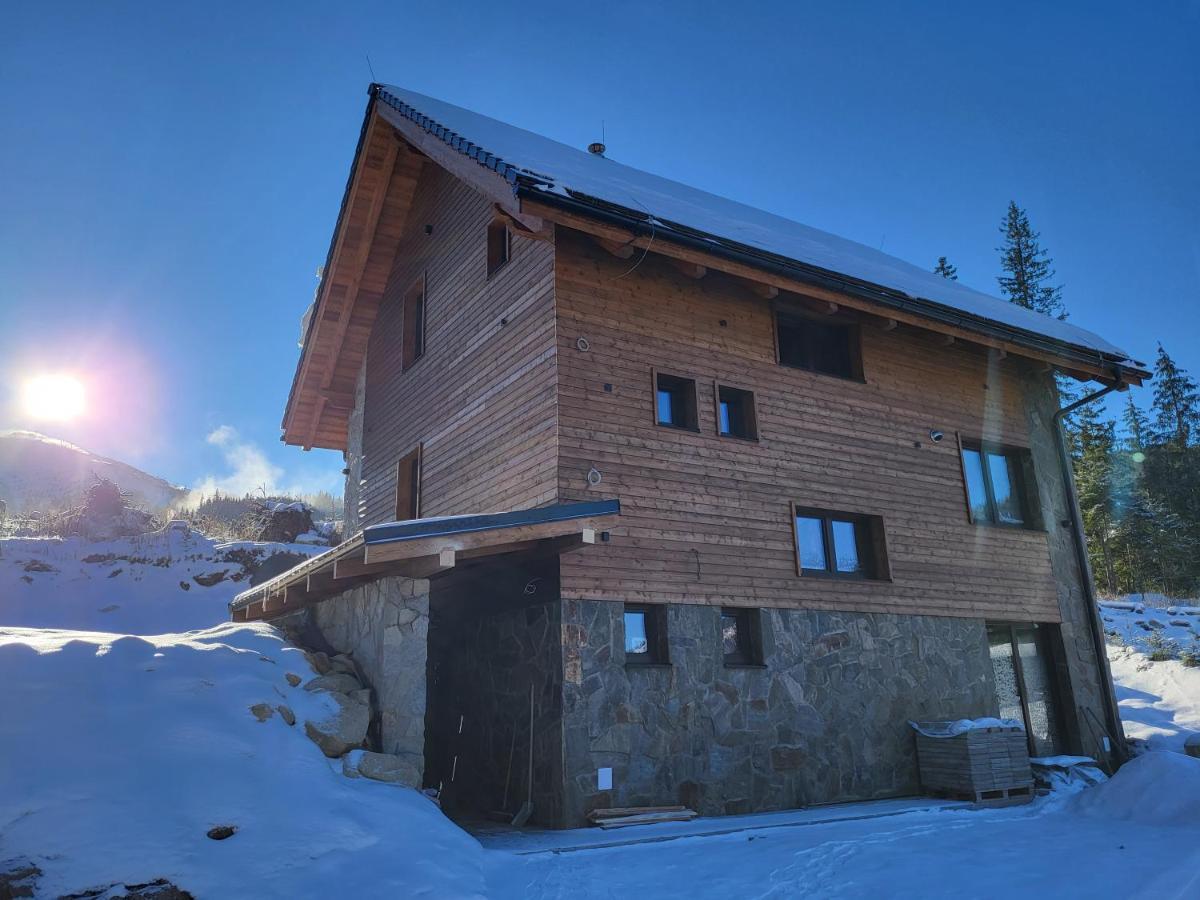 Hillview Jasna Chalet デマノブスカ・ドリーナ エクステリア 写真